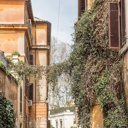 Apartament In Orso Terrace